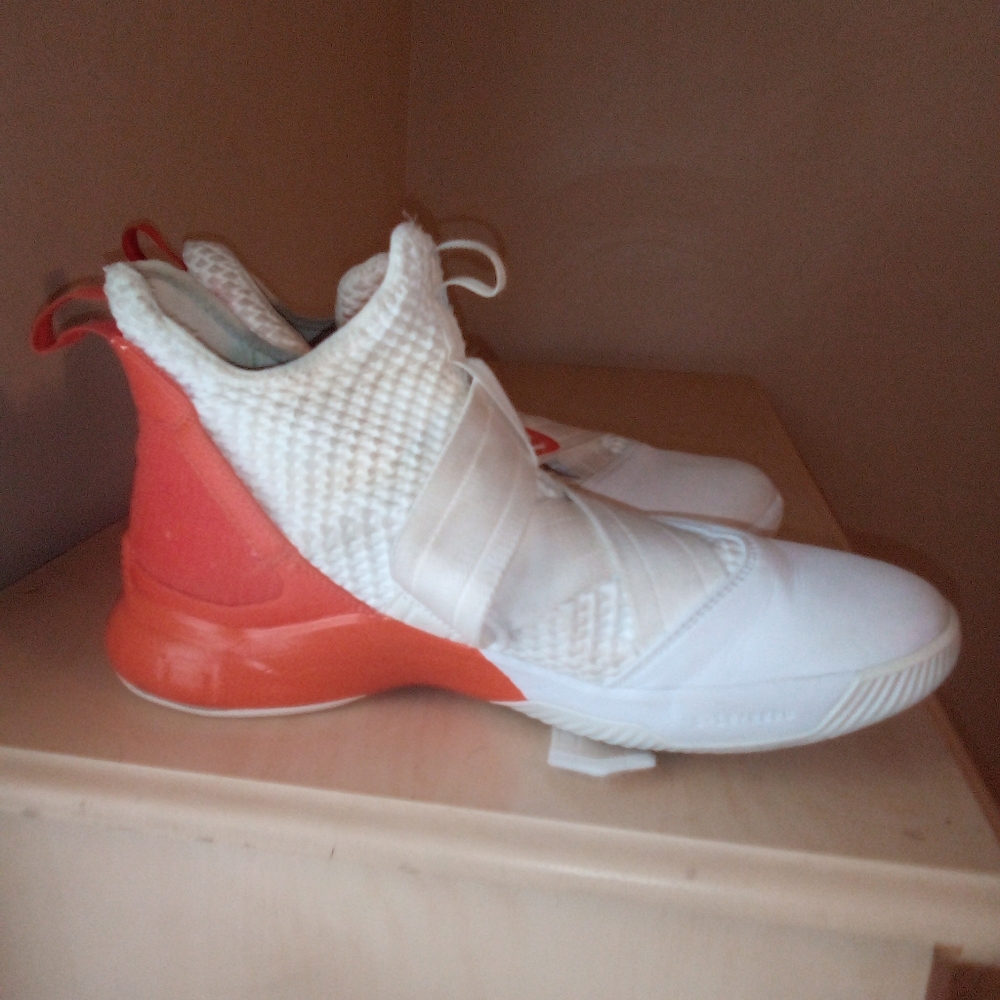 Nike LeBron James Shoes